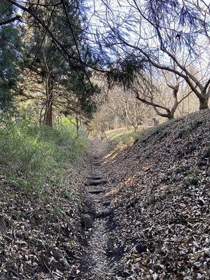 中城付近登城道