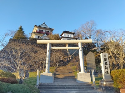 涌谷神社鳥居からの模擬天守