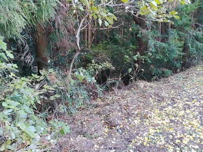 涌谷神社本殿裏手の空堀あと