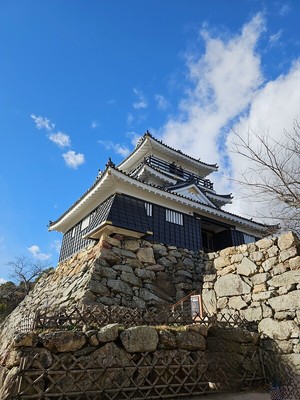 石垣がいい浜松城