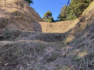 河村城　畝堀