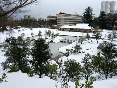 玉泉院丸庭園の雪化粧