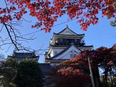 紅に染まった天守北側