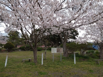 春の庭園前