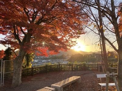 本丸からの夕日と紅葉