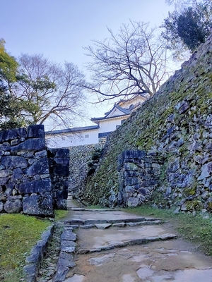 黒門側から見える城と石垣