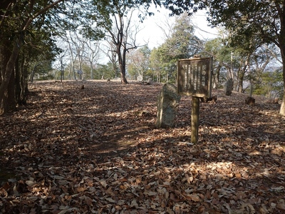 桜の馬場