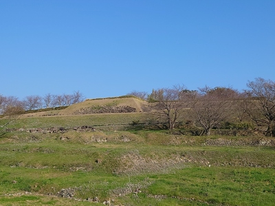 西側から見た原城風景