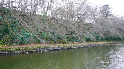池の端壕と本丸土塁