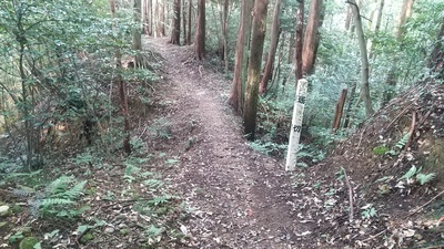 土橋と堀切