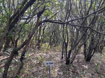 二重の隅櫓跡