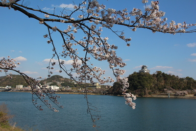 天守（木曽川対岸から）