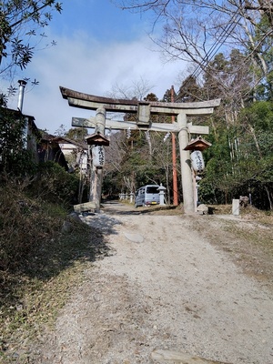 宇佐八幡宮の鳥居