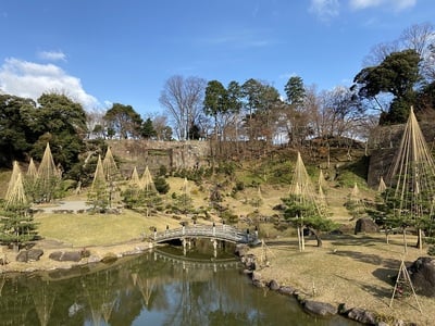 玉泉院丸庭園