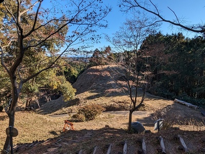 本曲輪から東尾根曲輪方向