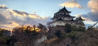 和歌山城　本丸御殿跡から