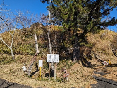 東の城（金寿城)