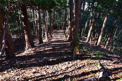 大竪土塁（西斜面）