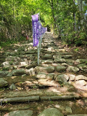 観音正寺参道の石段