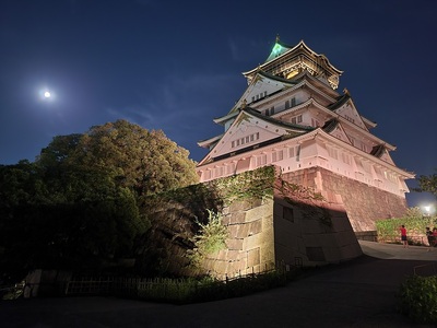 月夜に浮かぶ天守閣