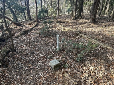 三角点がおかれた山頂本丸