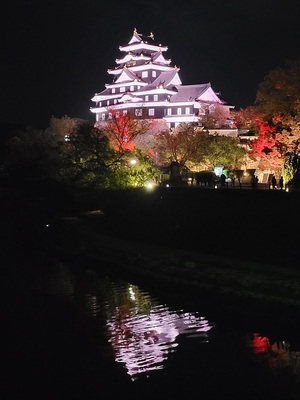 月見橋から見たライトアップされた天守