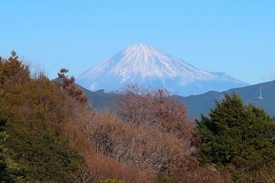 安倍城 本丸より望む富士山（望遠）