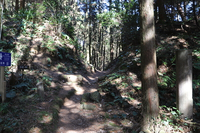 東北門