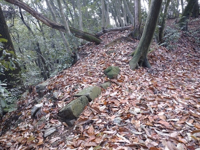 本丸の土塁の石積