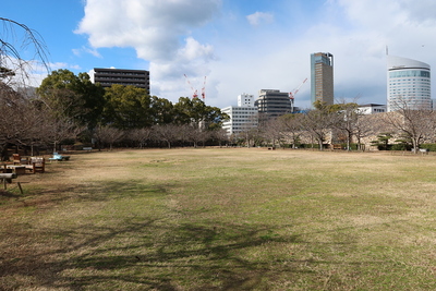 桜の馬場