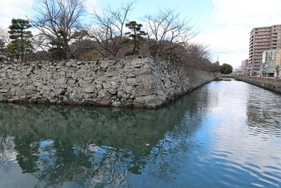 水堀と石垣