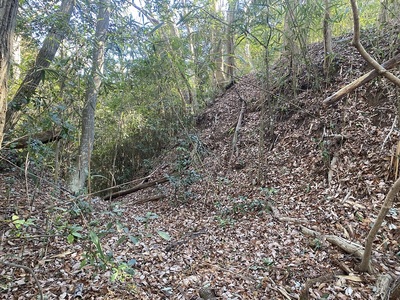 主郭北の堀＆土塁