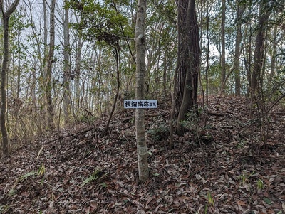 横畑城跡(出城)