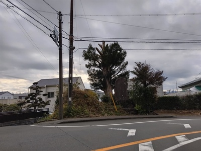 城山神社下の土塁