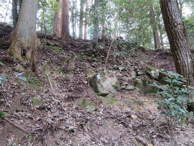 登城道から見た釣井の段の石積み