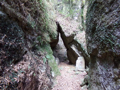 羅漢の石仏参道