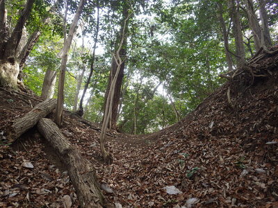 西側尾根の物見台横の堀切