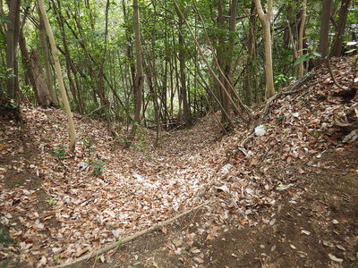 西側尾根の物見台付近の竪堀