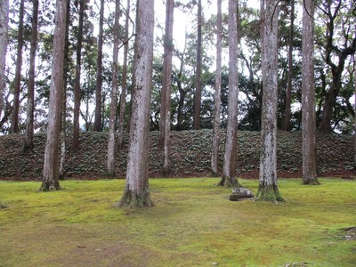 大手門西側の土塁