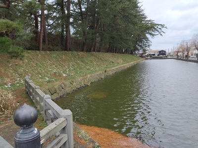 三の丸の土塁と水堀