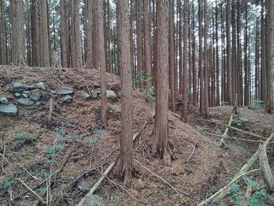 副郭下の横堀と石積み