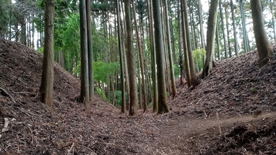 Ⅱ郭(御城)とⅠ郭(遠見城)間の空堀