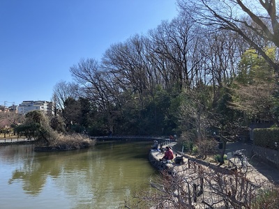 都立赤塚公園の池は堀跡？