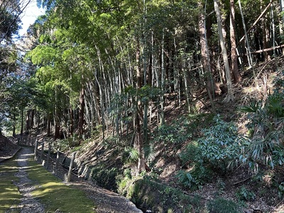 遊歩道