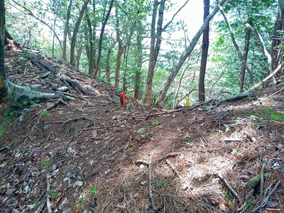 二重堀切の北側の堀切跡