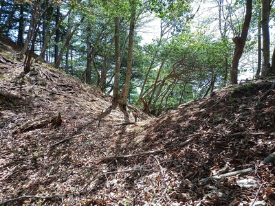 二重堀切の南側の堀切跡