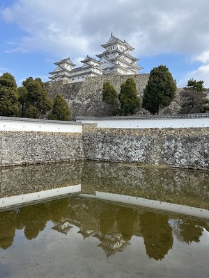 三国堀から見上げた天守