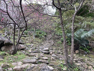 今帰仁グスク　グスク内の旧道