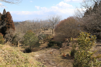 本丸から馬場方面