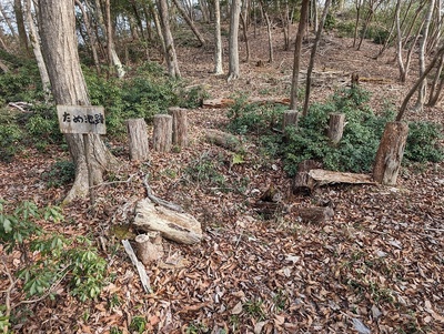 ため池跡